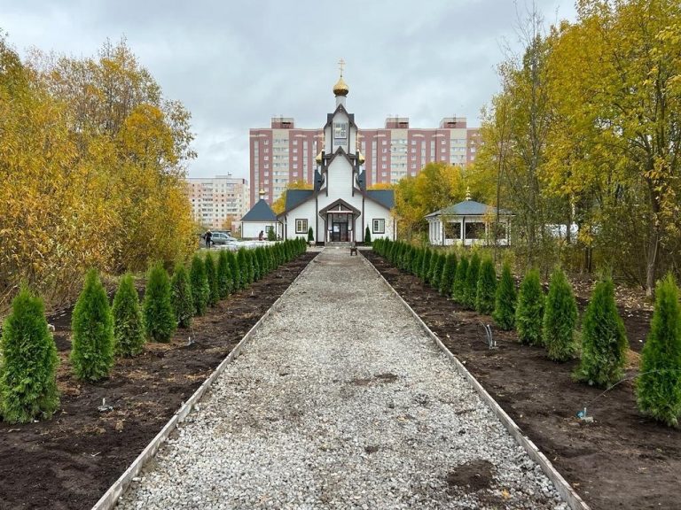 Прихожане Сергиевского храма города Череповца высадили аллею хвойных деревьев